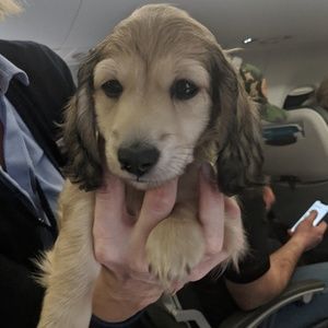 Meet your Posher, Bryn